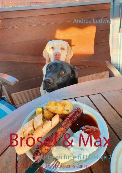 Cover for Andree Ludwig · Broesel &amp; Max: 8 Pfoten fur ein Halleluja 2 (Paperback Book) (2020)