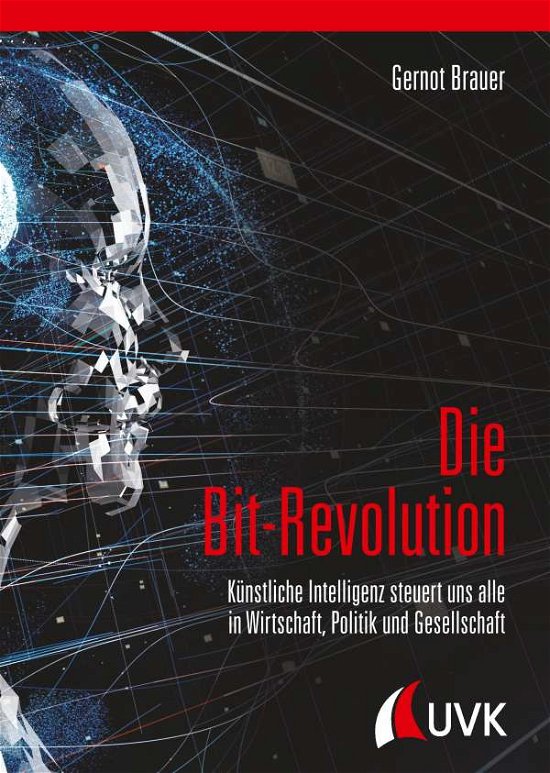 Cover for Brauer · Die Bit-Revolution (Book)