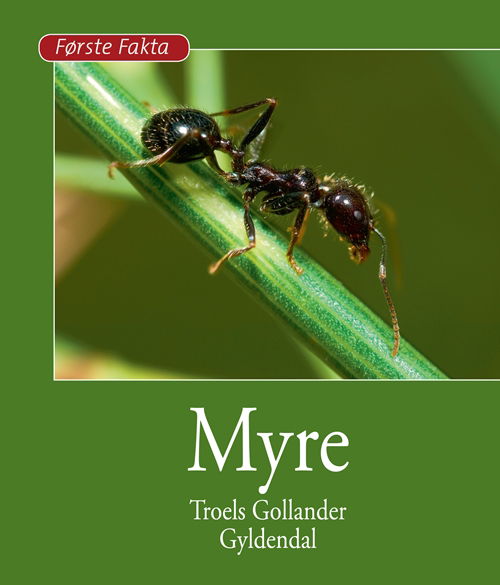 Første Fakta: Myre - Troels Gollander - Livres - Gyldendal - 9788702121018 - 27 janvier 2012
