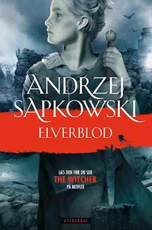 Cover for Andrzej Sapkowski · Witcher-serien: THE WITCHER 3 (Sewn Spine Book) [1st edition] (2019)