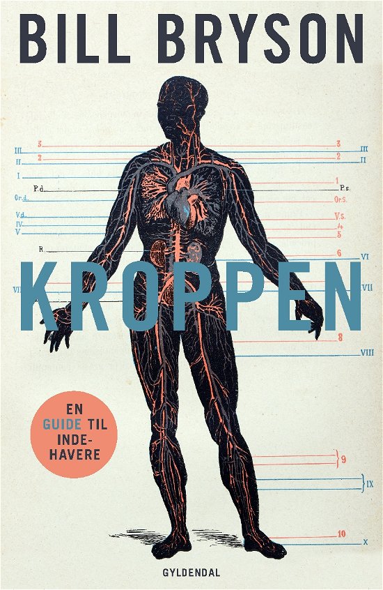 Cover for Bill Bryson · Kroppen (Bound Book) [1e uitgave] (2019)