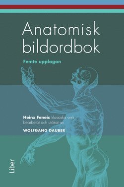 Cover for Heinz Feneis · Anatomisk bildordbok (Bog) (2006)