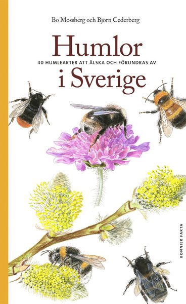 Cover for Björn Cederberg · Humlor i Sverige : 40 arter att älska och förundras över (Book) (2020)