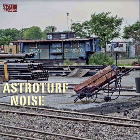 Cover for Astroturf Noise (LP) (2020)