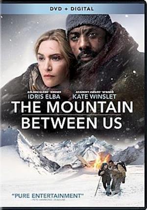 Cover for Mountain Between Us (DVD) (2017)