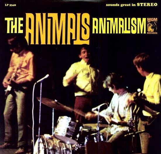 Cover for Animals · Animalism (LP) (2010)