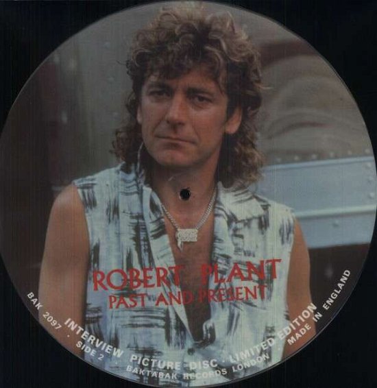 Cover for Robert Plant · Interview -pd- (LP) [Picture Disc edition] (2003)