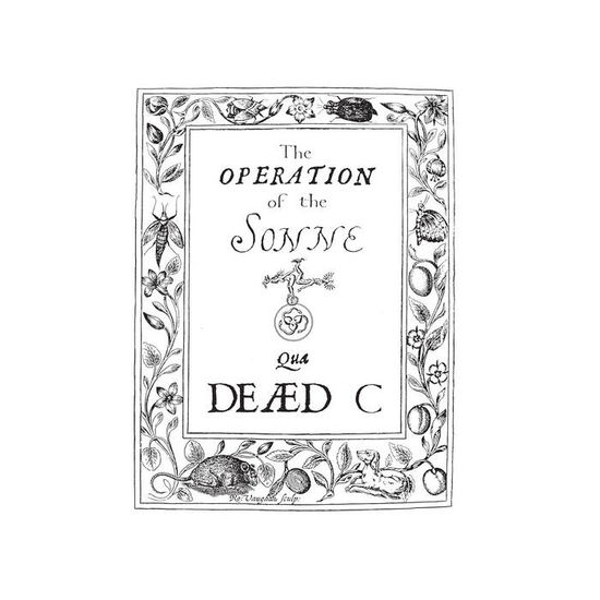 Cover for Dead C · Operation Of The Sonne (LP) (2023)