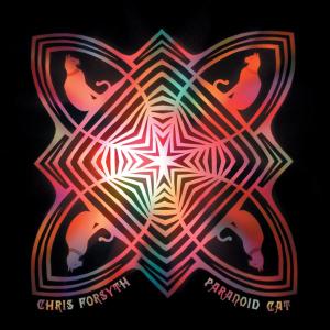 Cover for Chris Forsyth · Paranoid Cat (LP) (2011)