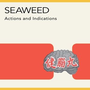 Actions And Indications - Seaweed - Musik - MERGE - 0673855015019 - 13 augusti 2015