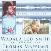 Cover for Mapfumo Thomas · Mapfumo Thomas - Dreams &amp; Secrets (CD)