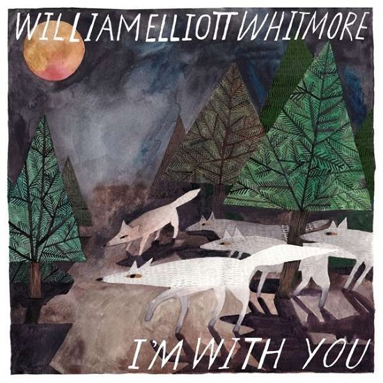 Cover for Whitmore, William Elliott / P.O.S. · I'm With You (LP) (2020)