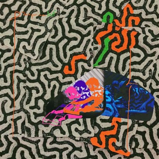 Cover for Animal Collective · Tangerine Reef (LP) [Standard edition] (2018)