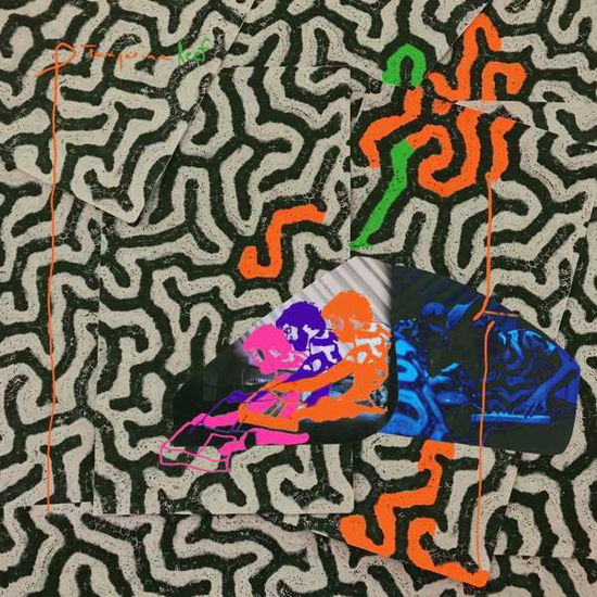 Tangerine Reef - Animal Collective - Musique - DOMINO - 0887828043019 - 17 août 2018