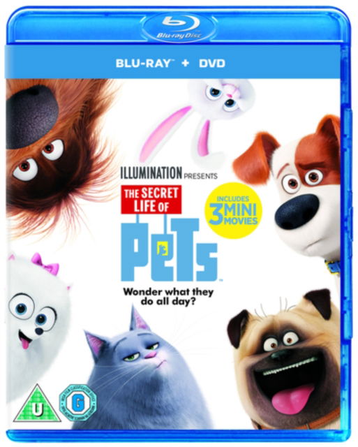 Cover for The Secret Life Of Pets Bluray + DVD + Digital Download · The Secret Life Of Pets Blu-Ray + (Blu-Ray) (2016)