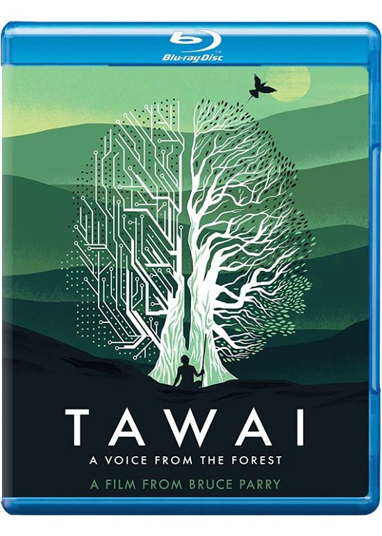 Tawai - A Voice From The Forest - Tawai  A Voice from the Forest - Film - Quest Unlimited - 7437312054019 - 30. april 2018