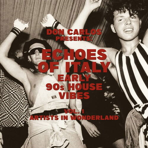 Cover for Compilation · Echoes Of Italy - Early 90s House Vibes Vol. 1 - Artists In Wonderland (LP) (2025)