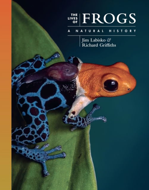 Cover for Labisko, Dr. Jim (Lecturer in Biodiversity) · The Lives of Frogs: A Natural History - The Lives of the Natural World (Hardcover Book) (2025)