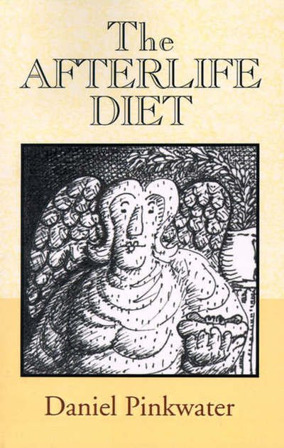 The Afterlife Diet - Daniel Manus Pinkwater - Książki - Xlibris Corporation - 9780738804019 - 20 sierpnia 2000