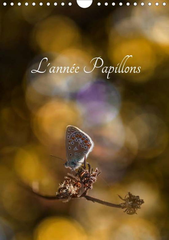 Cover for Gans · L'année Papillons (Calendrier mura (Book)