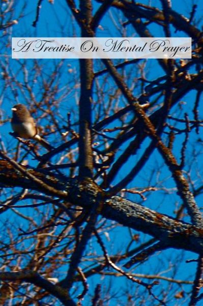 Cover for Ven Louis De Ponte S J · A Treatise on Mental Prayer (Paperback Book) (2010)