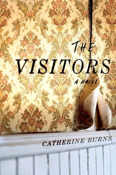 Cover for Catherine Burns · The Visitors (Innbunden bok) [First Scout Press hardcover edition. edition] (2017)