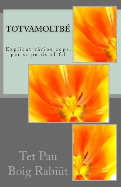 Cover for Pau Bielsa Mialet · Totvamoltbe: Explicat Varios Cops, Per Si Perds El Fil (Paperback Book) (2015)