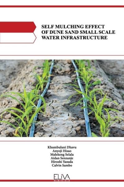 Cover for Khumbulani Dhavu · Self Mulching Effect of Dune Sand Small Scale Water Infrastructure (Paperback Book) (2021)