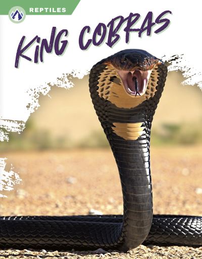 Cover for Deb Aronson · King Cobras (Book) (2023)