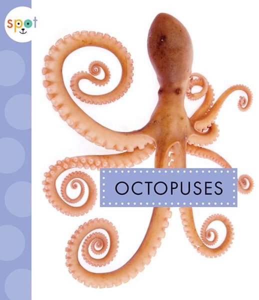 Cover for Mari Schuh · Octopuses (Paperback Book) (2018)