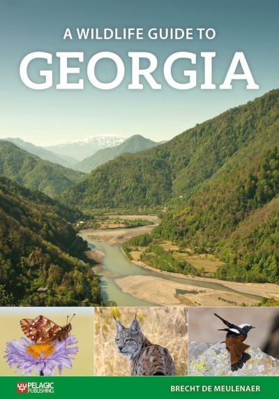 A Wildlife Guide to Georgia - Where to Watch Guides - Brecht De Meulenaer - Books - Pelagic Publishing - 9781784273019 - October 29, 2024