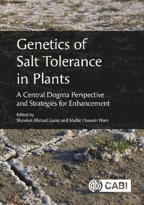 Genetics of Salt Tolerance in Plants: a Central Dogma Perspective and Strategies for Enhancement (Inbunden Bok) (2024)