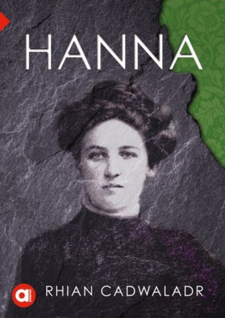 Cover for Rhian Cadwaladr · Cyfres Amdani: Hanna (Paperback Bog) (2024)