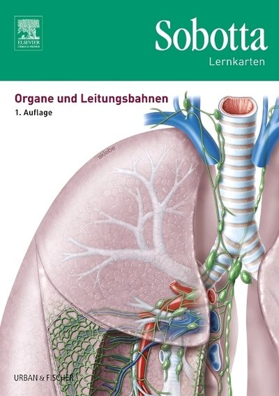 Cover for Sobotta · Sobotta Lernkarten. Organe und (Book)