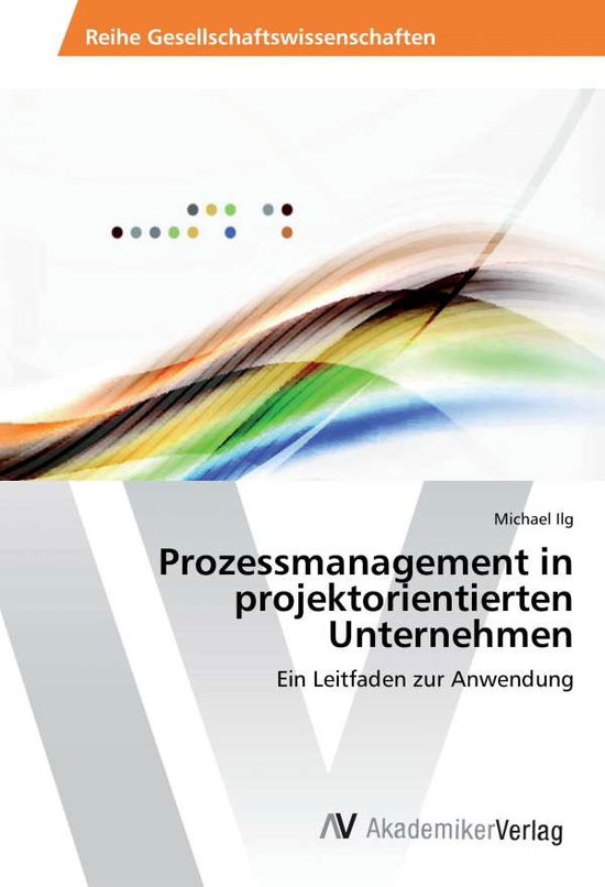 Cover for Ilg · Prozessmanagement in projektorienti (Book)