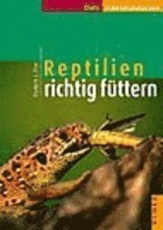 Cover for Frederic L. Frye · Reptilien richtig füttern (Innbunden bok) (2003)