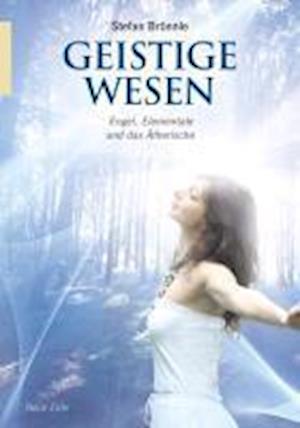 Cover for Stefan Brönnle · Geistige Wesen (Paperback Book) (2012)