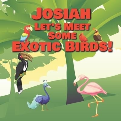 Cover for Chilkibo Publishing · Josiah Let's Meet Some Exotic Birds! (Pocketbok) (2021)