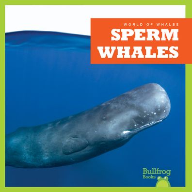 Sperm Whales - World of Whales - Katie Chanez - Boeken - Jump! Incorporated - 9798885246019 - 1 november 2023