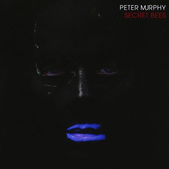 Cover for Peter Murphy · Secret Bees Of Ninth (CD) (2017)