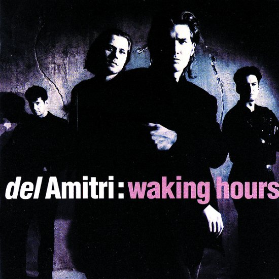 Cover for Del Amitri · Waking Hours (CD) (1990)