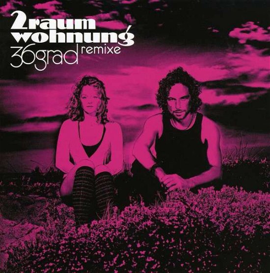 Cover for Zweiraumwohnung · Remixe (CD) (2010)