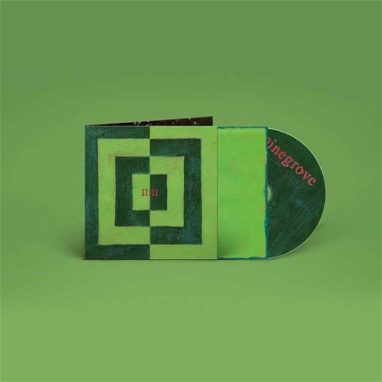 Cover for Pinegrove · 31/12/1899 11:11:00 (CD) (2022)