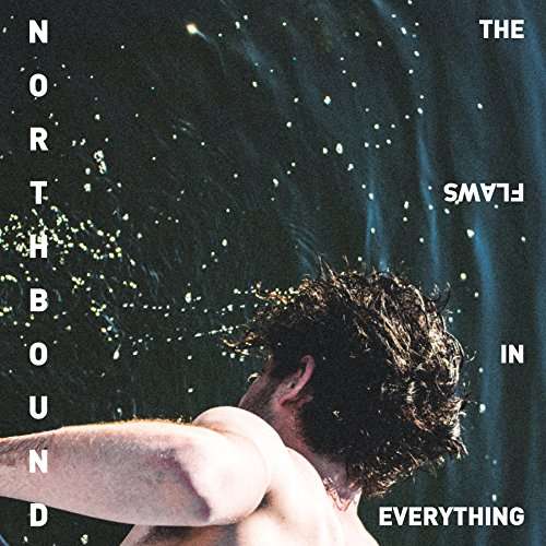 Cover for Northbound · The Flaws In Everything (CD) (2017)