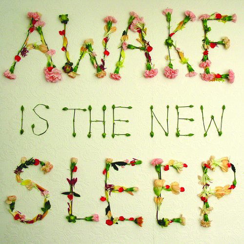 Awake Is The New Sleep - Ben Lee - Musikk - NEW WEST RECORDS, INC. - 0607396607020 - 18. februar 2005