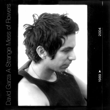 Cover for David Garza · David Garza-a Strange Mess of Flowers (CD)