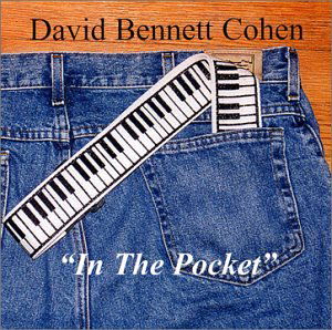 In The Pocket - David Bennett Cohen - Muziek - CD Baby - 0660355898020 - 2 februari 2001