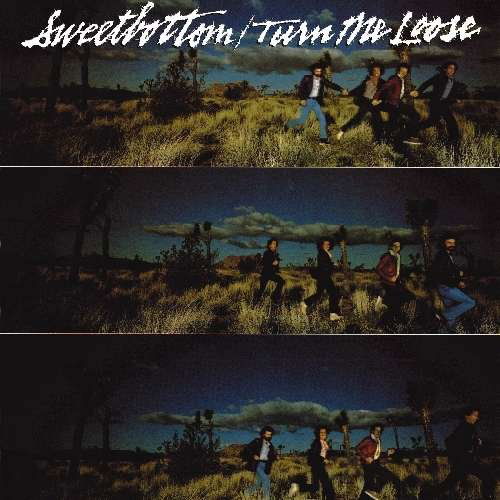 Cover for Sweetbottom · Turn Me Loose (CD) (1990)