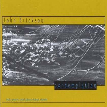 Contemplation - John Erickson - Music - CD Baby - 0672584688020 - September 25, 2001