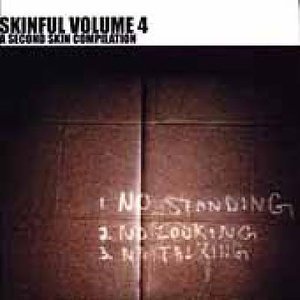 Cover for Skinfull 4 (CD) (2010)